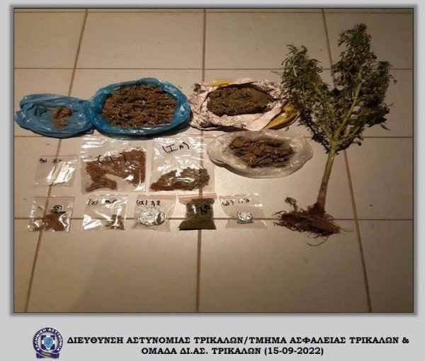 Τέσσερις συλλήψεις ανδρών στα Τρίκαλα που κατείχαν κάνναβη