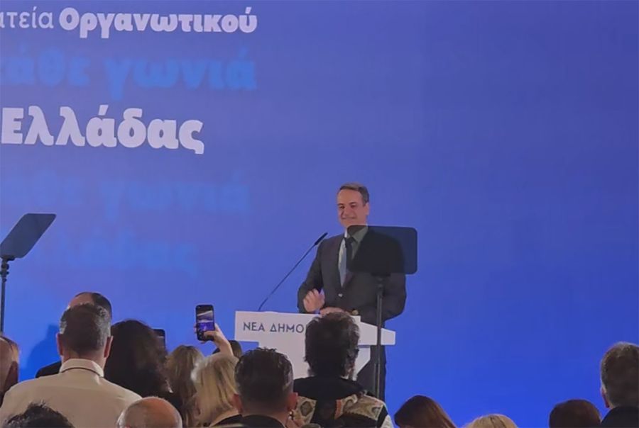 ΔΕΕΠ Καρδίτσας: 15 στελέχη στην κοπή πίτας της Γραμματείας Οργανωτικού ΝΔ