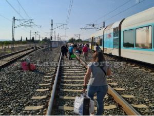 Φθιώτιδα: Τρένο χτύπησε αγελάδα και εκτροχιάστηκε λίγο πριν την Τιθορέα