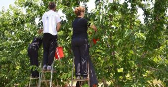 Η Αριστερή Παρέμβαση στη Θεσσαλία για την απεργία των εργατών γης στην περιοχή της Αγιάς Λάρισας