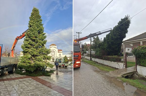 Δωδεκάμετρο το Χριστουγεννιάτικο Δέντρο στους Σοφάδες (+Φωτο)