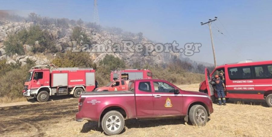 Φθιώτιδα: Μεγάλη πυρκαγιά στη Λάρυμνα - Σε γενική επιφυλακή οι πυροσβεστικές δυνάμεις