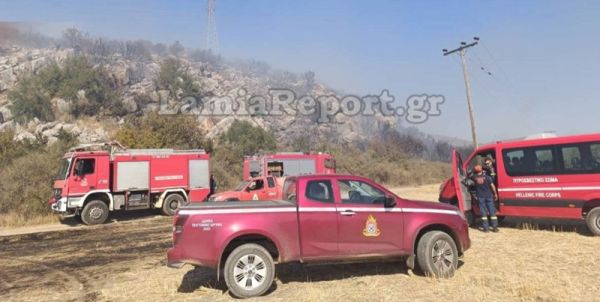 Φθιώτιδα: Μεγάλη πυρκαγιά στη Λάρυμνα - Σε γενική επιφυλακή οι πυροσβεστικές δυνάμεις