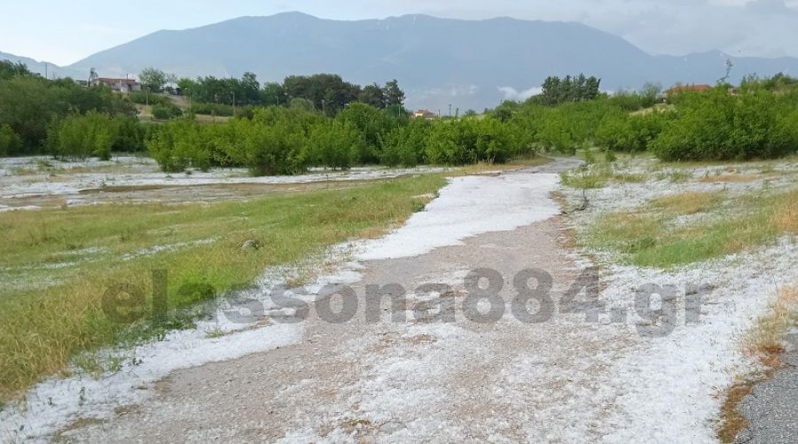 Έριξε χαλάζι σε μέγεθος... φουντουκιού σε Κοκκινόγη και Γεράνεια Ελασσόνας (+Φώτο)