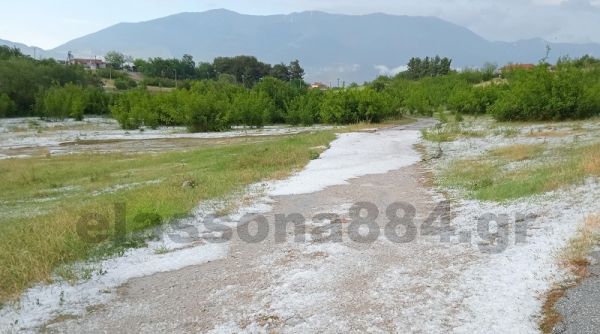 Έριξε χαλάζι σε μέγεθος... φουντουκιού σε Κοκκινόγη και Γεράνεια Ελασσόνας (+Φώτο)