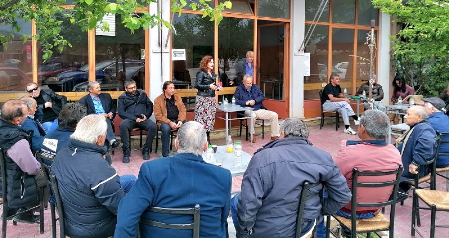 Σωτηρία Μπακαλάκου: "Οι προγραμματικές θέσεις του ΠΑΣΟΚ για τον αγροτικό τομέα"