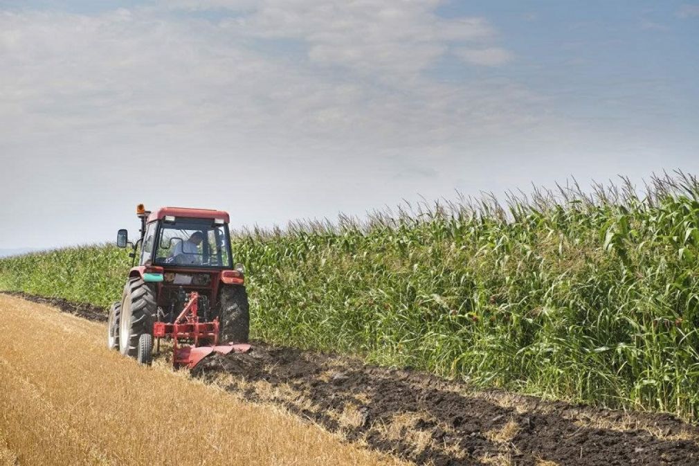 ΟΠΕΚΕΠΕ: Πληρώνει την προκαταβολή του τσεκ για τις αγροτικές επιδοτήσεις της βασικής ενίσχυσης