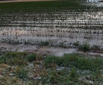 Χωρίς ρεύμα και με ζημιές από χαλάζι επτά Τοπικές Κοινότητες στο Δήμο Σοφάδων