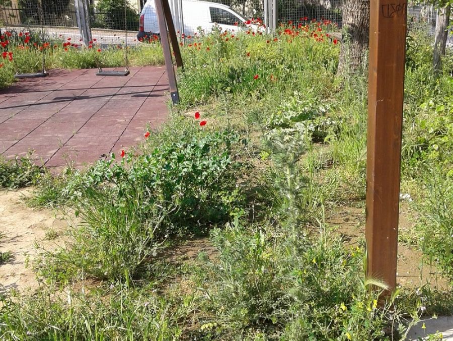 Αστ. Βασιλάκος: "Πνίγηκε" από χόρτα, μάσκες και γάντια η ανοικτή παιδική χαρά στο Μουζάκι