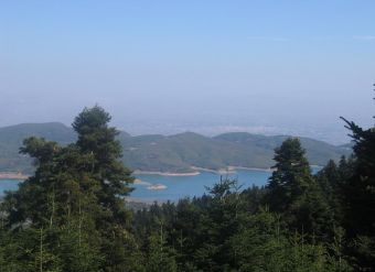 Ημέρα Ψαρέματος με Καλάμι την Κυριακή 1 Αυγούστου στον παραλίμνιο Μορφοβουνίου