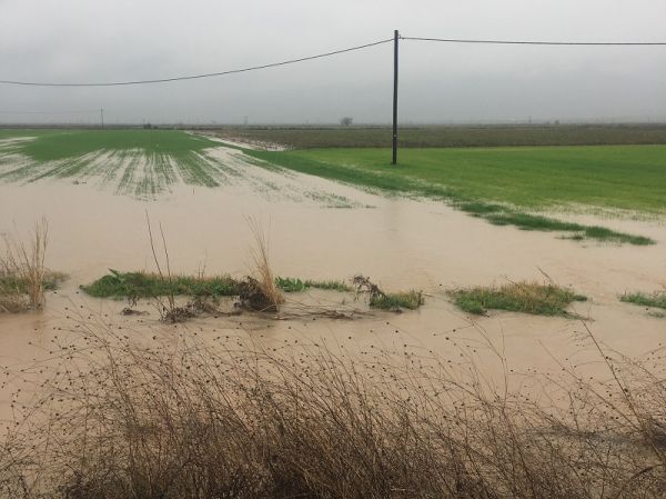 Αγροτικός Σύλλογος Λεονταρίου: Συνεχόμενα πλημμυρικά φαινόμενα στα χωράφια της περιοχής Κακάρα Ρέμα