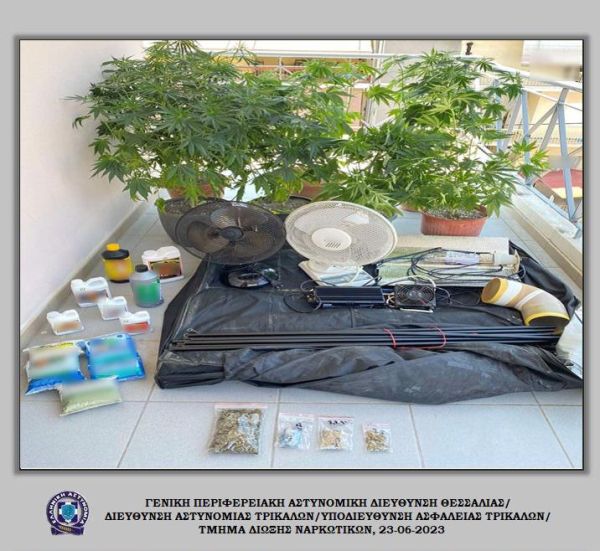 Τρίκαλα: Καλλιεργούσε κάνναβη σε πλήρως εξοπλισμένο υδροπονικό εργαστήριο