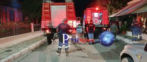 Εκτεταμένες υλικές ζημιές προκάλεσε πυρκαγιά σε ουζερί στην Πύλη