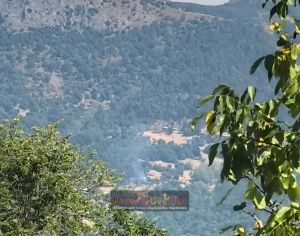 Δασική πυρκαγιά ξέσπασε στο Ελληνόκαστρο Καρδίτσας το μεσημέρι του Σαββάτου (22/8)