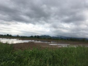 Νέες έντονες βροχοπτώσεις και πλημμυρισμένες καλλιεργειες στο Δήμο Παλαμά