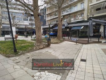 Κόβονται επτά δέντρα στην πλατεία Δικαστηρίων και στον πεζόδρομο της Καζαμπάκα