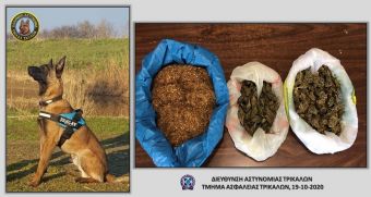 Τρίκαλα: Ο αστυνομικός σκύλος ξετρύπωσε τα ναρκωτικά
