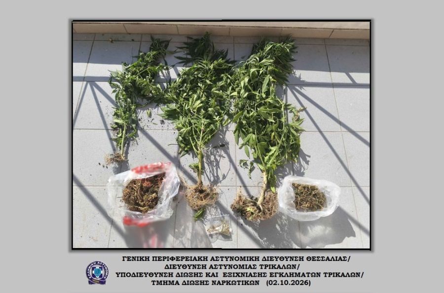 Τρίκαλα: Συνελήφθη 49χρονος με 3 δενδρύλλια κάνναβης και ποσότητα κάνναβης