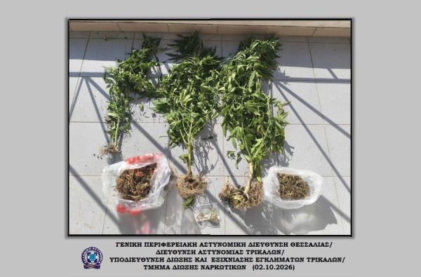 Τρίκαλα: Συνελήφθη 49χρονος με 3 δενδρύλλια κάνναβης και ποσότητα κάνναβης