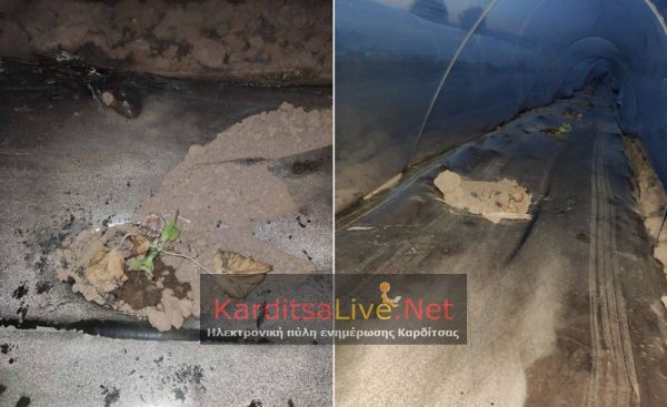 Στη Δ.Ε. Σελλάνων την Τρίτη (13/4) ο προϊστάμενος του ΕΛΓΑ Λάρισας για τις ζημιές από τον παγετό