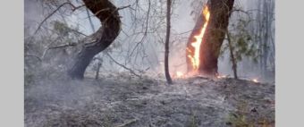 Πρόστιμο για καύση υπολειμμάτων καλλιεργειών στην περιοχή της λίμνης Πλαστήρα
