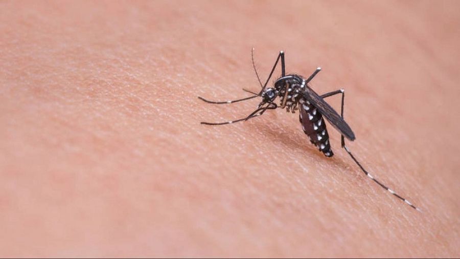 Π.Ε. Καρδίτσας: Χαρτογράφηση και drones στη μάχη κατά των κουνουπιών