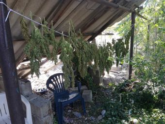 Συνελήφθη 33χρονος στη Λάρισα, κατηγορούμενος για παραβάσεις ναρκωτικών