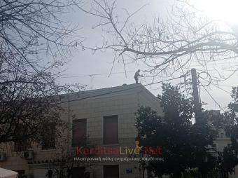 Άνδρας απειλούσε να πέσει στο κενό από τη στέγη των Δικαστηρίων Καρδίτσας - Ώρα 11.30 κατέβηκε με ασφάλεια (+Φωτο +Βίντεο)