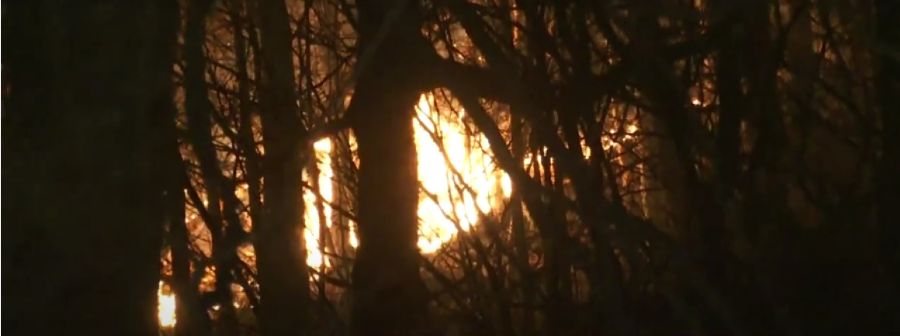 Ενισχύθηκαν οι δυνάμεις της Πυροσβεστικής στα Πιέρια Όρη - 'Eρπουσα η πυρκαγιά στο μεγαλύτερο μέρος της