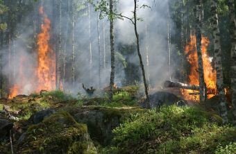 63 πυρκαγιές εκδηλώθηκαν το τελευταίο 24ωρο - Πολλαπλές αναζωπυρώσεις σε Ρόδο, Κέρκυρα και Εύβοια