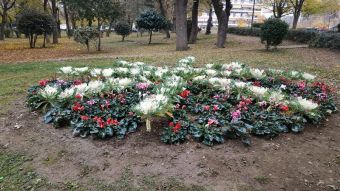 Καρδίτσα: Σε εξέλιξη ο καλλωπισμός και η φύτευση νέων λουλουδιών σε πλατείες και πεζόδρομο (+Φώτο)