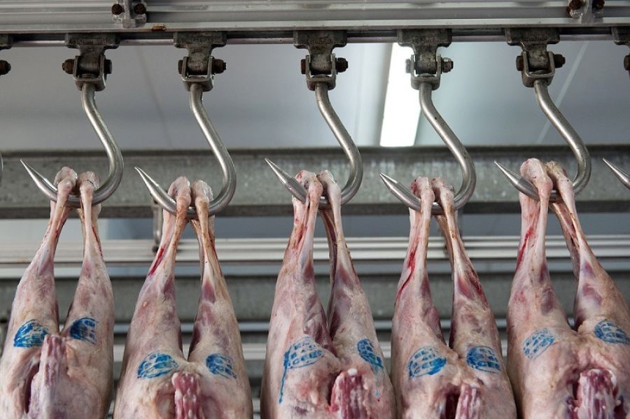 Δ/νση Κτηνιατρικής Περιφέρειας Θεσσαλίας: Ενημέρωση του καταναλωτικού κοινού ενόψει των εορτών