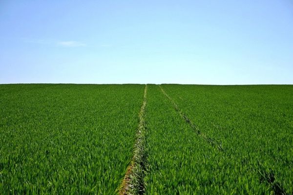 Σε δημόσια διαβούλευση η παρέμβαση για «Σύσταση Ομάδων και Οργανώσεων Παραγωγών» του Στρατηγικού Σχεδίου της ΚΑΠ