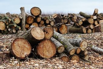 Μπαίνει πλαφόν στο περιθώριο μικτού κέρδους των επιχειρήσεων στην πώληση καύσιμης ξυλείας