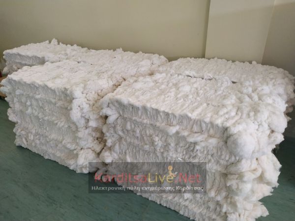 "Κατρακυλά" η τιμή του βαμβακιού - Κ. Τζέλλας: Κάλεσμα για συμμετοχή στο συλλαλητήριο στην Agrotica