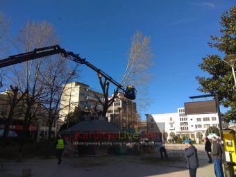 Καρδίτσα: Κλαδεύτηκαν τα δέντρα στην κεντρική πλατεία το πρωί της Κυριακής (+Φώτο +Βίντεο)