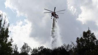 Βόλος: Μεγάλη φωτιά στις Γλαφυρές τέθηκε υπό έλεγχο