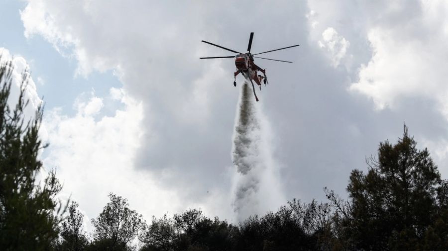 Βόλος: Μεγάλη φωτιά στις Γλαφυρές τέθηκε υπό έλεγχο