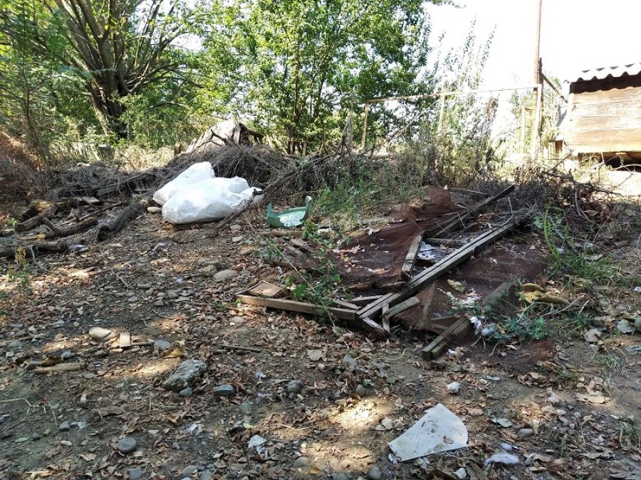 Απόστολος Κολοκύθας: "Φυλακισμένα σκυλιά σε «καταφύγιο - κολαστήριο» στην Καρδίτσα"
