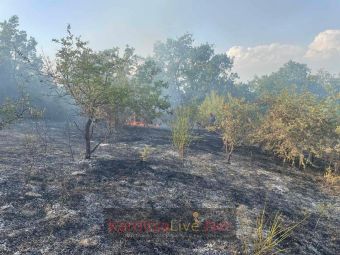 Άμεση επέμβαση των πυροσβεστών σε δασική πυρκαγιά μεταξύ Ρούσσου και Κρύας Βρύσης (+Φωτο)