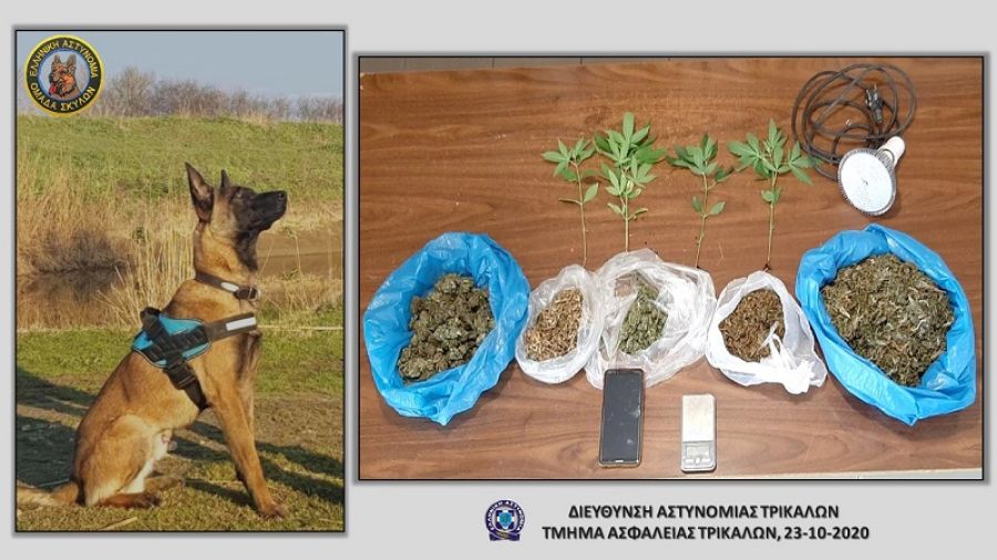 Έβγαλε "λαβράκι" πάλι ο αστυνομικός σκύλος στα Τρίκαλα!