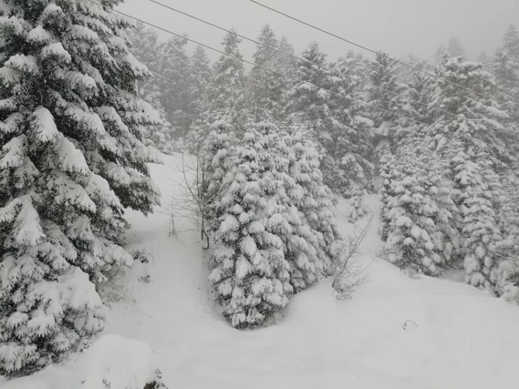 Άλλη μια χιονόπτωση ξεκίνησε στα ορεινά της Καρδίτσας
