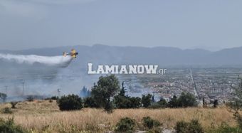 Συναγερμός για φωτιά δίπλα σε σπίτια στον Αφανό Λαμίας - Διατάχθηκε εκκένωση