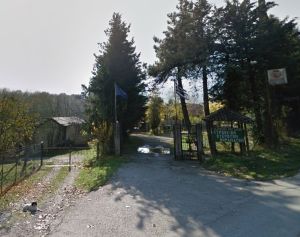 Διάθεση 1.800 νεοσσών και 235 γεννητόρων κυνηγετικού φασιανού από το εκτροφείο Μπαλάνου στο Μουζάκι