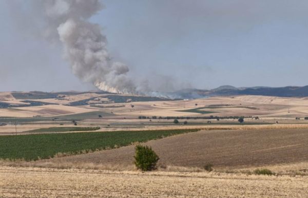 Φάρσαλα: Εκδηλώθηκαν 2 πυρκαγιές σε δασικές εκτάσεις