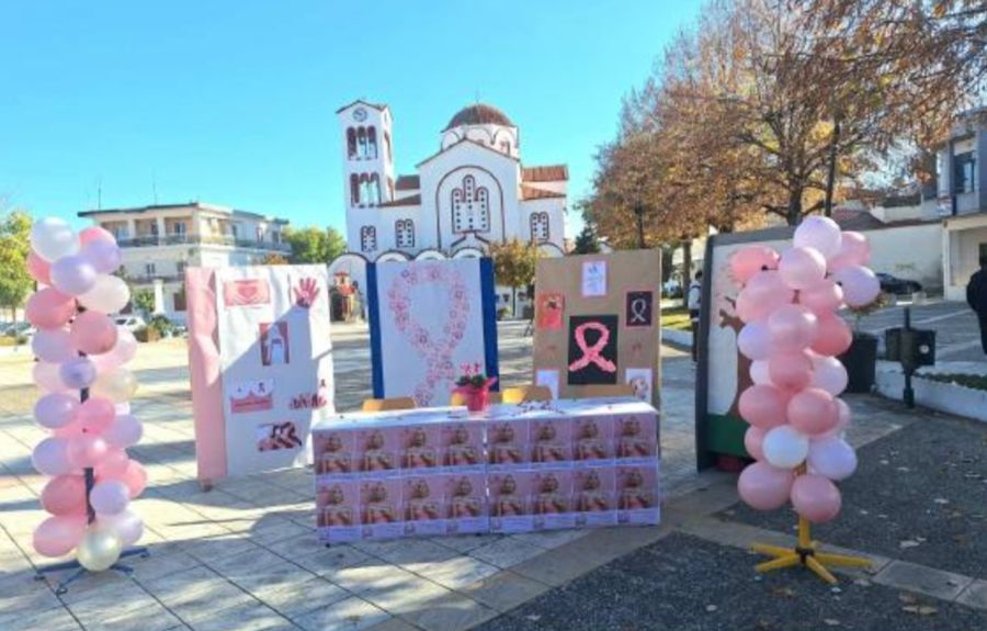 1ο ΕΠΑΛ Σοφάδων: Δράση ενημέρωσης και ευαισθητοποίησης για τον καρκίνο του μαστού