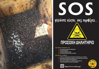 "SOS Bee": Οι μέλισσες κινδυνεύουν από την αλόγιστη χρήση φυτοφαρμάκων