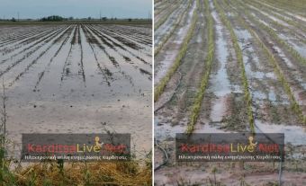 Διήμερη παράταση για αναγγελία ζημιών ζήτησε ο Δ. Παλαμά - Ξεπερνούν τα 25.000 στρέμματα οι ως τώρα δηλώσεις