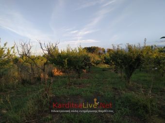 Ο ΕΛΓΑ προσλαμβάνει 140 γεωπόνους για τις ενστάσεις του «Ιανού» - 1.100 φάκελοι στο ΥΠ.ΟΙΚ. για αποζημιώσεις παγίων και γαιών