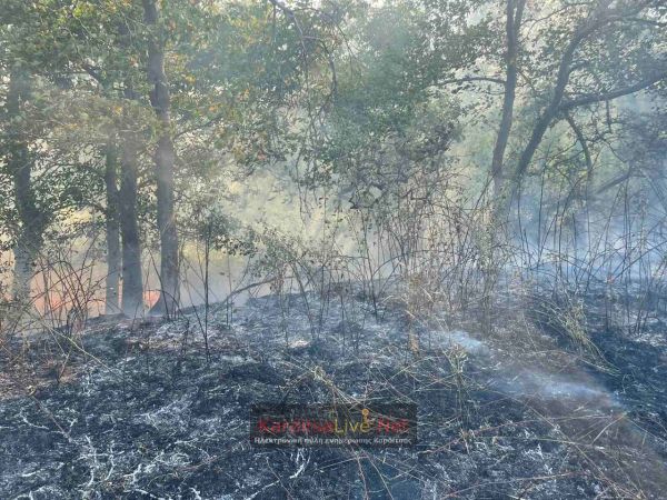Αντιμετωπίστηκε άμεσα πυρκαγιά σε χορτολιβαδική έκταση στο Καλλιφώνι (+Φωτο)